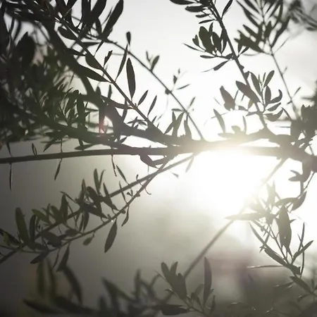 Appartement Ethos Retreat,luxure *