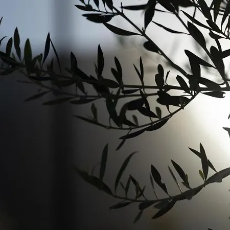 Appartement Ethos Retreat,luxure Areópoli