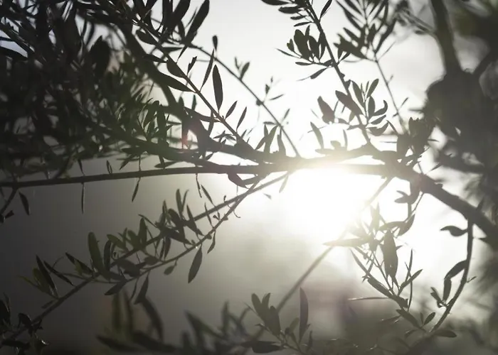 Lejlighed Ethos Retreat,luxure *