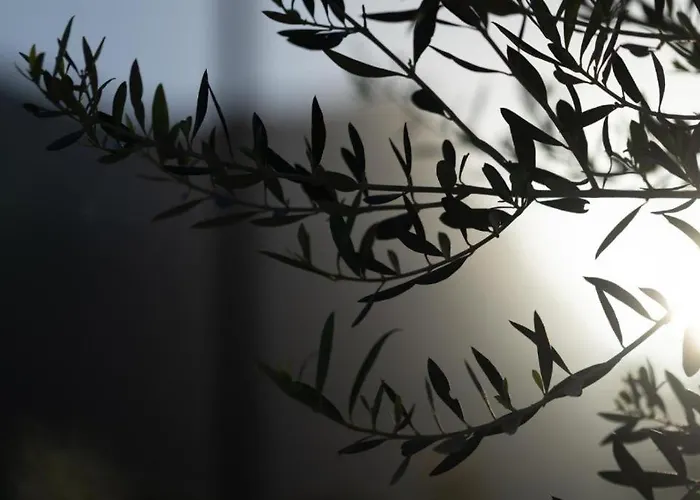 Apartamento Ethos Retreat,luxure Areopoli